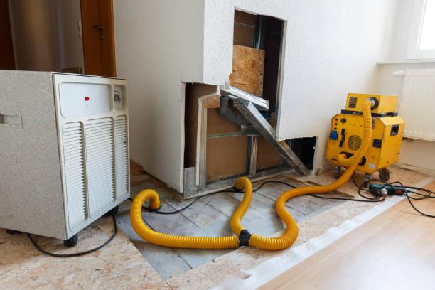 Best Comprehensive Air Testing for Mold Contaminants  in Roseburg, OR